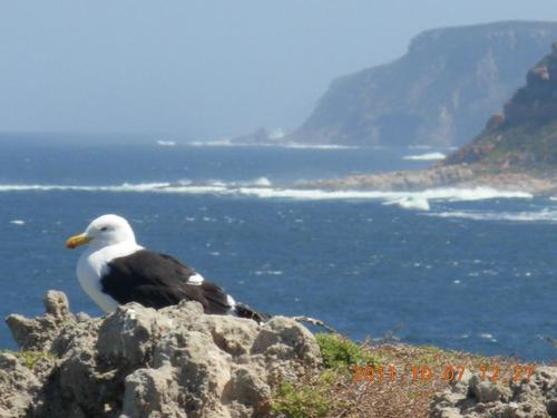 Travelinds <3 South Africa