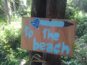 1272314_10152368036841992_1365437797_o