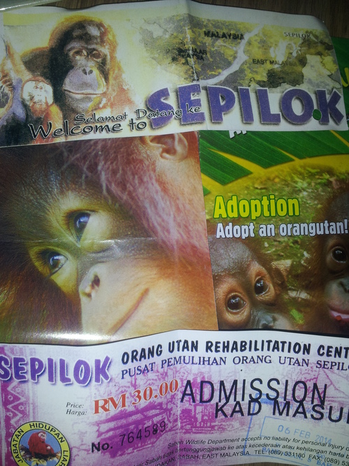 Sepilok Orang Utan Sanctuary