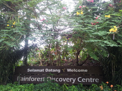 Rainforest Discovery Centre- Sepilok