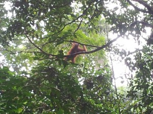 tumblr_inline_n4472gtU8k1rg4d7l