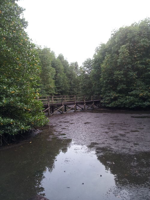 Kota Kinabalu Wetland Centre