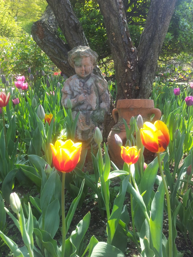 tumblr_mmf20mcm5U1s64282o1_1280