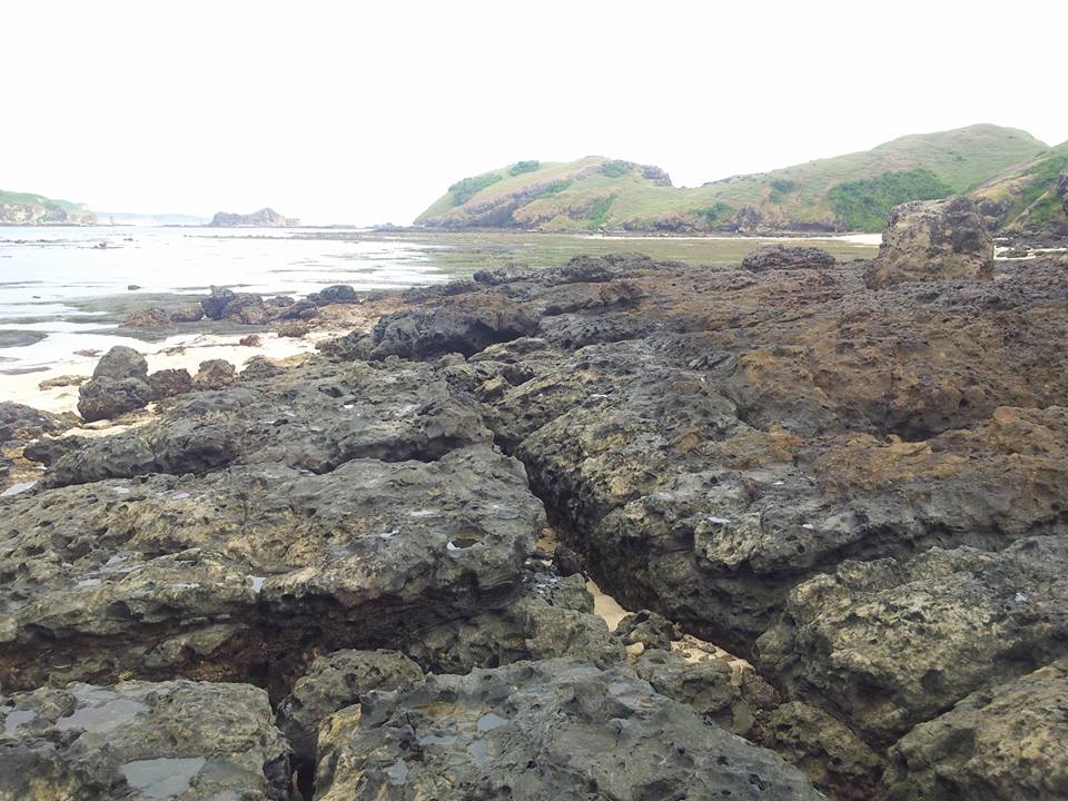 13173647_10154402560556992_4218943018923564598_n