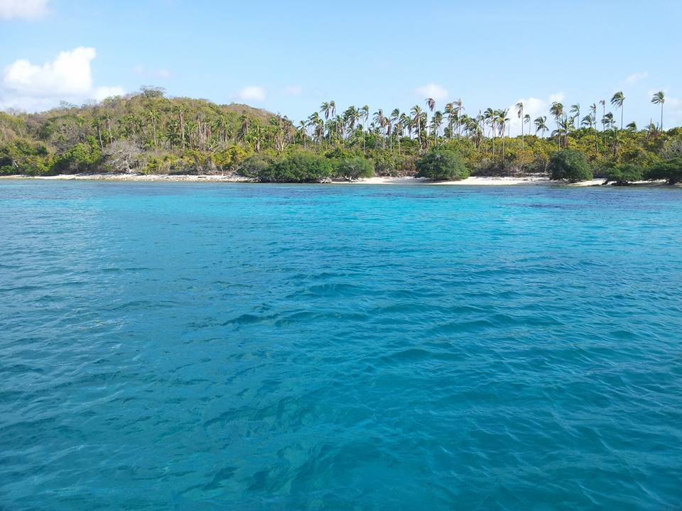 13226857_10154430942941992_6455827766503536829_n