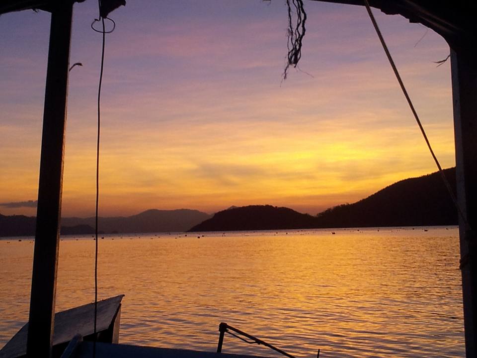 13254162_10154430963466992_2960169019087778134_n