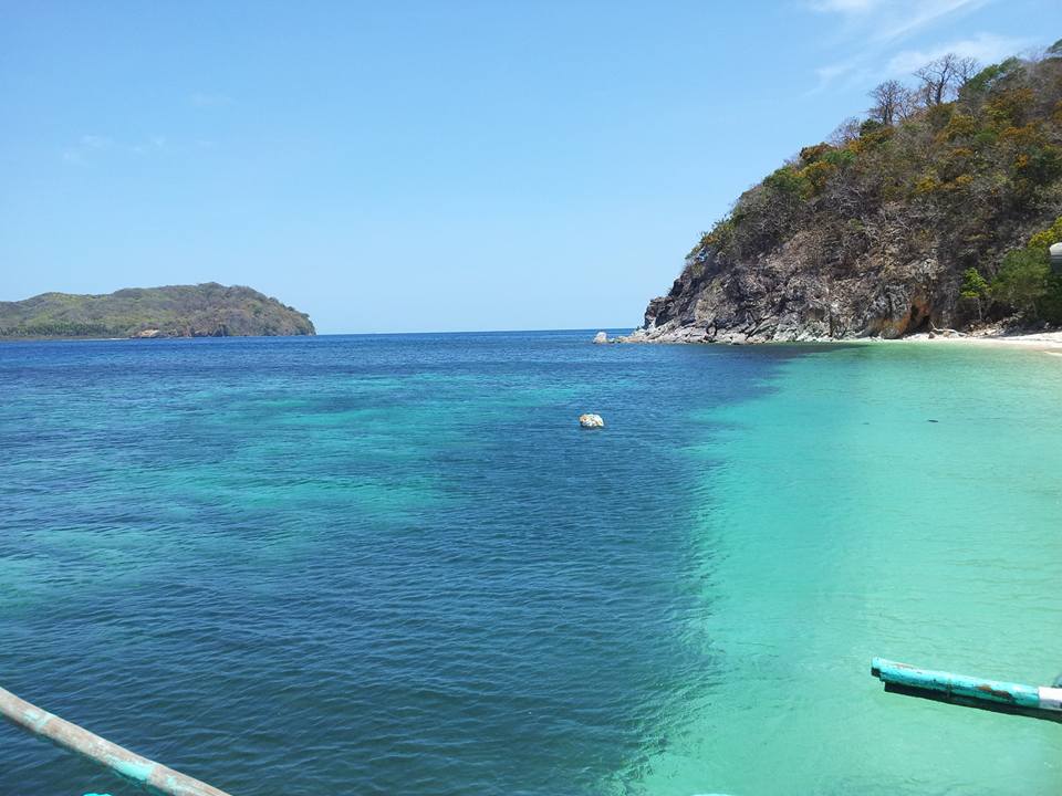 13256455_10154430934231992_8859874114631069839_n