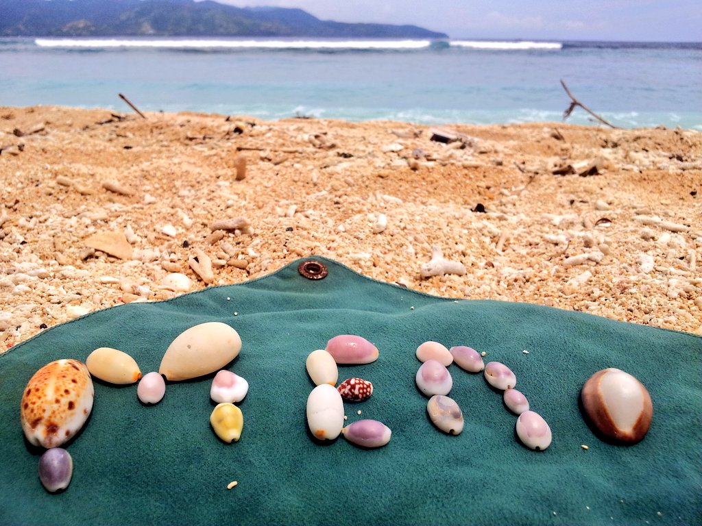 Gili Meno Cowries