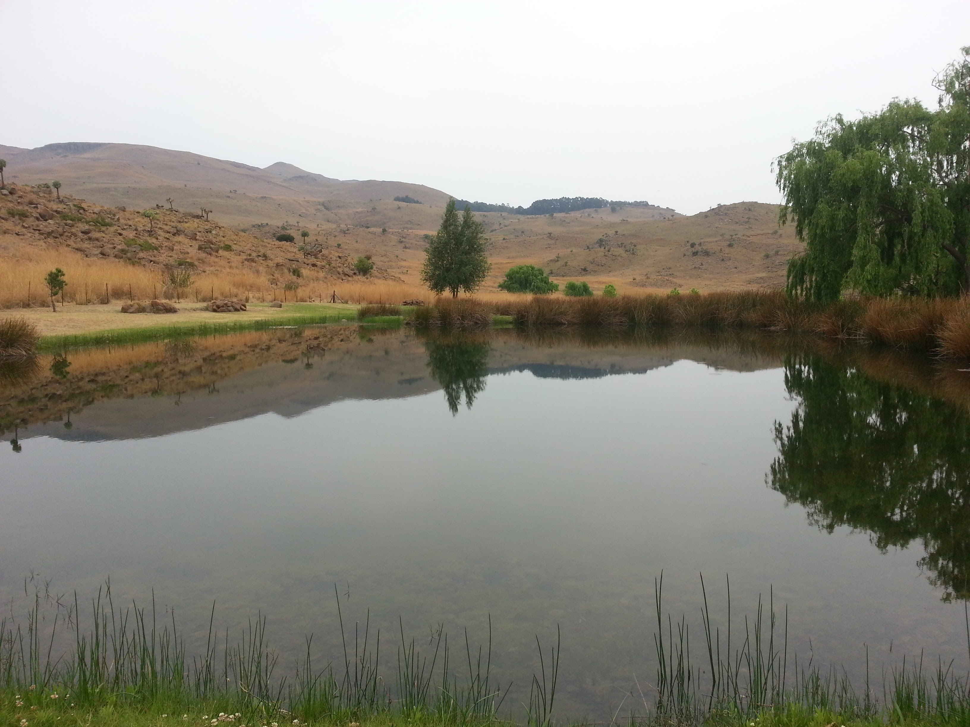 Dullstroom